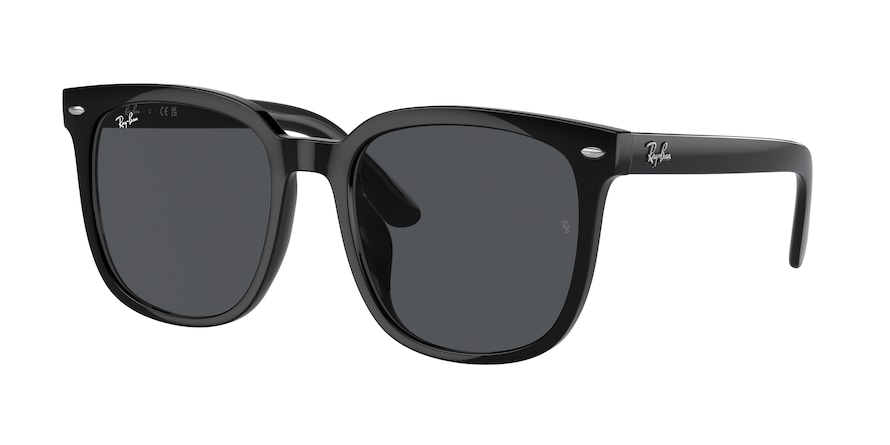 Ray-Ban RB4401D  601/87