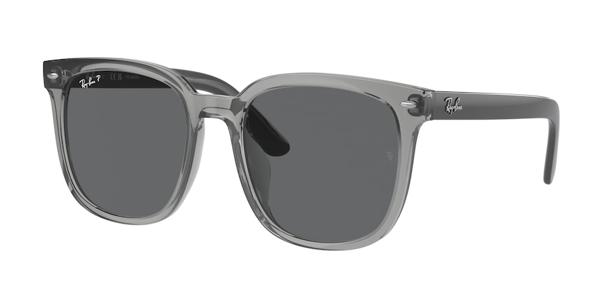 Ray-Ban RB4401D  659981