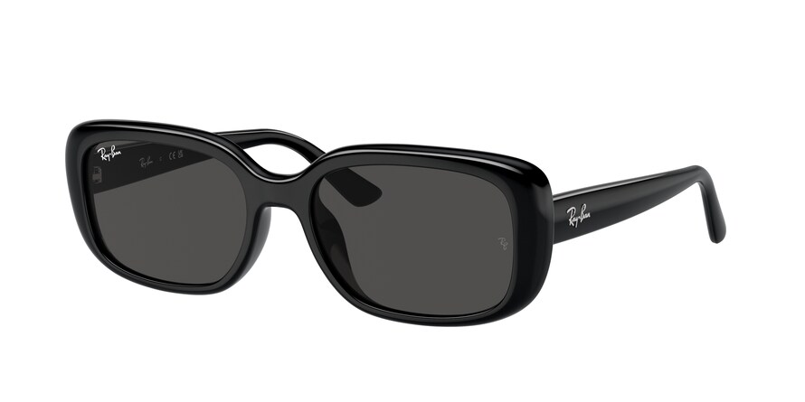 Ray-Ban RB4421D  667787