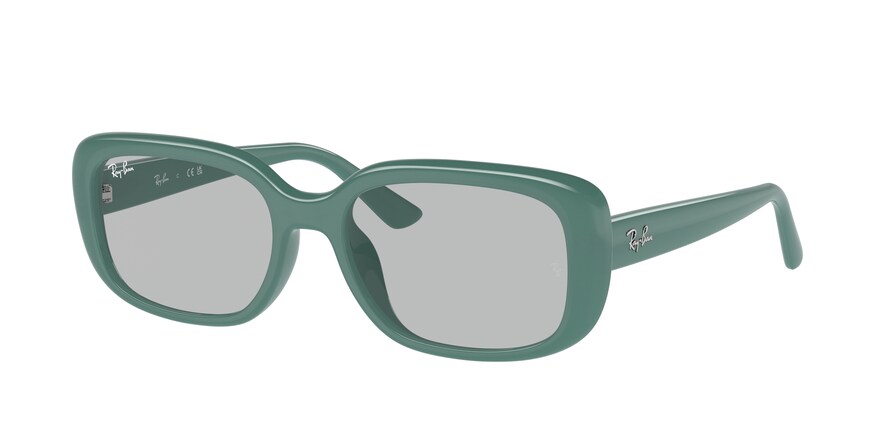 Ray-Ban RB4421D  676287