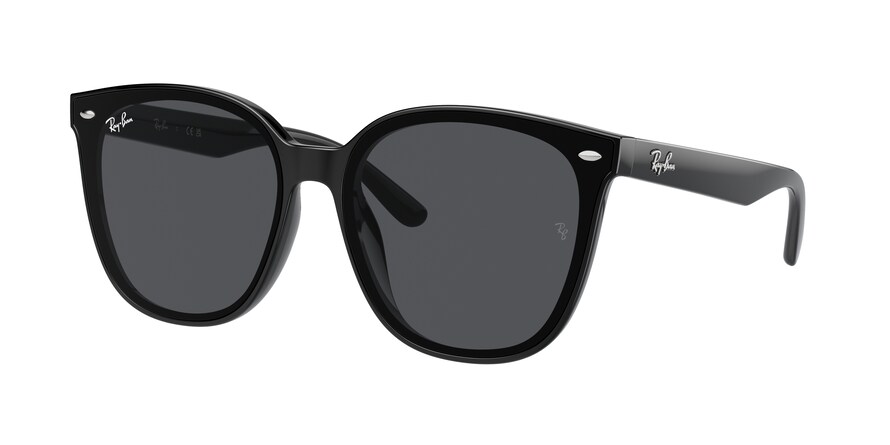 Ray-Ban RB4423D  601/87