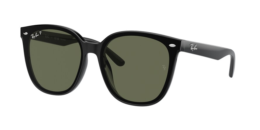 Ray-Ban RB4423D  601/9A