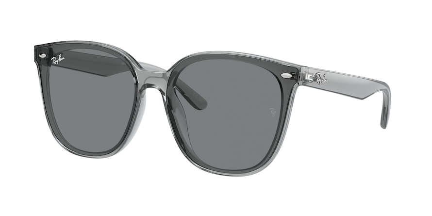 Ray-Ban RB4423D  645087