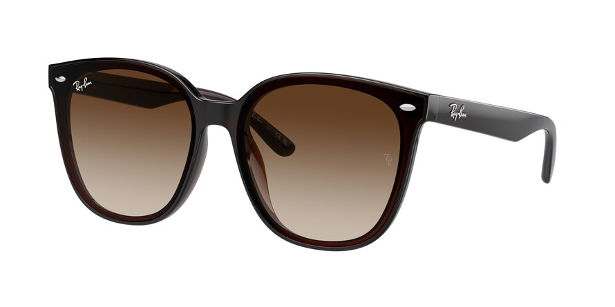 Ray-Ban RB4423D  714/13