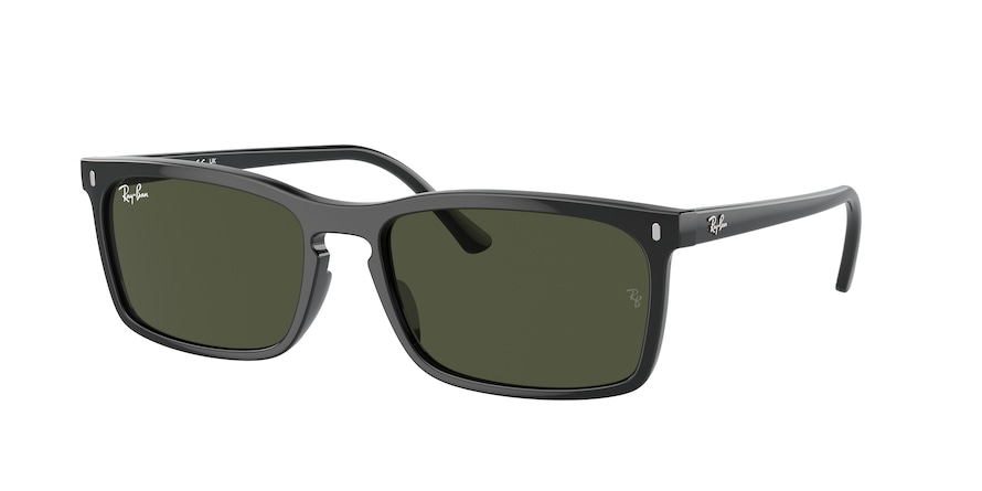 Ray-Ban RB4435  901/31