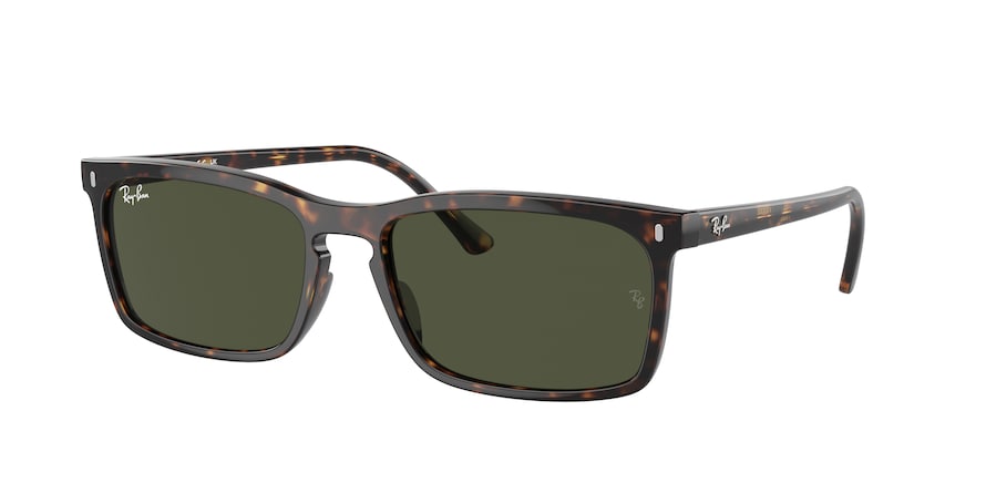 Ray-Ban RB4435  902/31