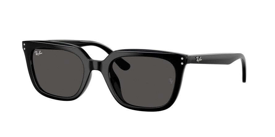 Ray-Ban RB4439D  901/87