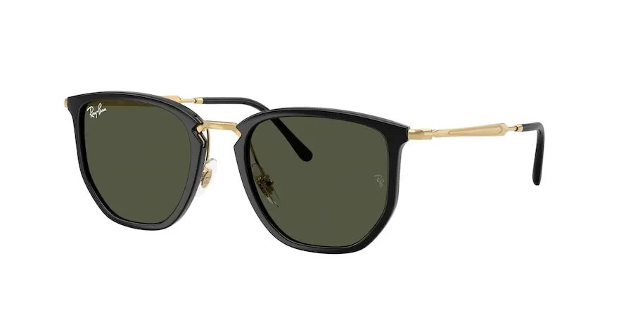 Ray-Ban RB4451  630631