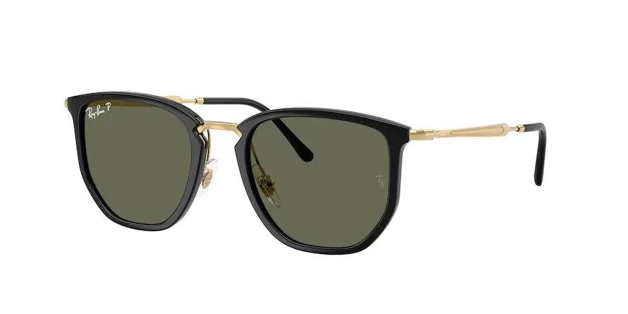 Ray-Ban RB4451  630658