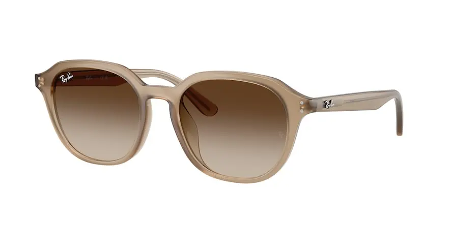Ray-Ban RB4459D  616613
