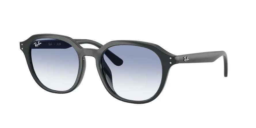 Ray-Ban RB4459D  623019