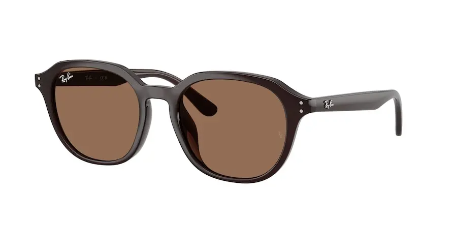 Ray-Ban RB4459D  623173