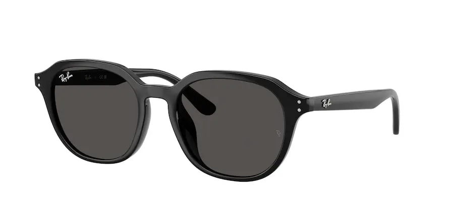 Ray-Ban RB4459D  901/87
