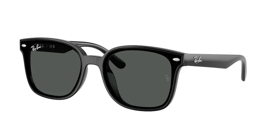 Ray-Ban RB4461D  601/87