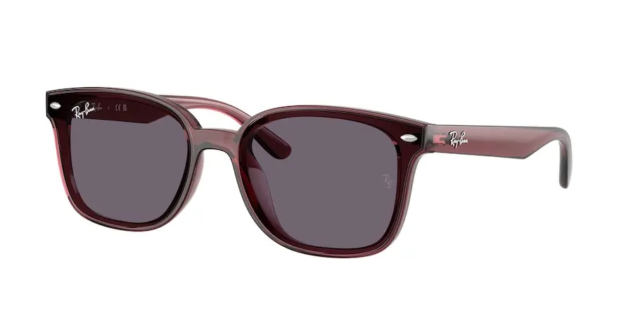 Ray-Ban RB4461D  659373