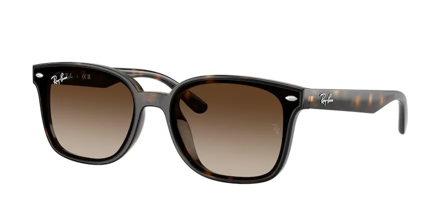 Ray-Ban RB4461D  710/13