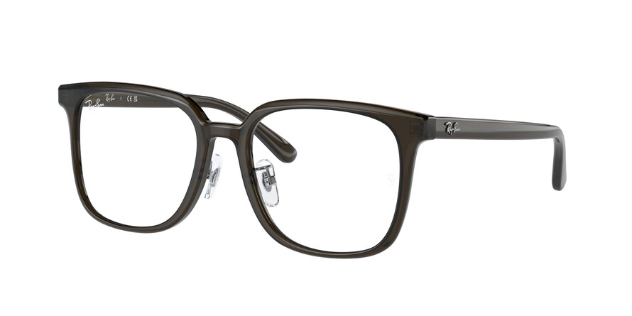 Ray-Ban RX5419D  8218