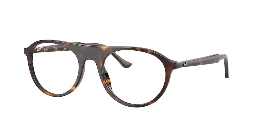 Ray-Ban RX5441  2012