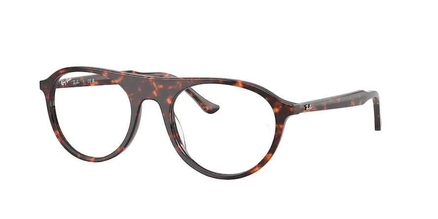 Ray-Ban RX5441  8423