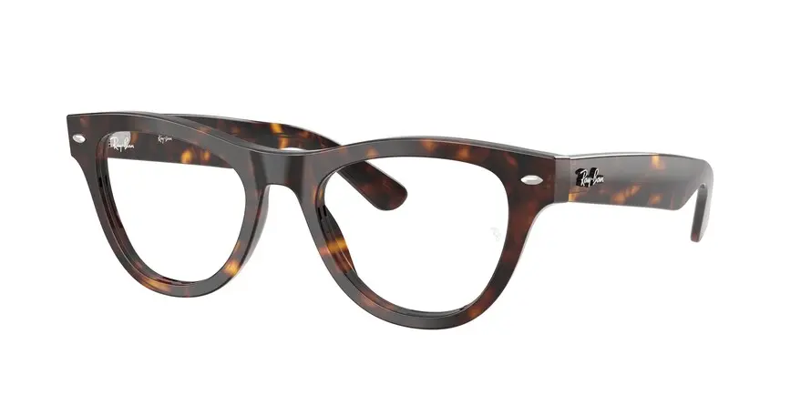 Ray-Ban RX5510  2012