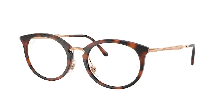 Ray-Ban RX7255  5687