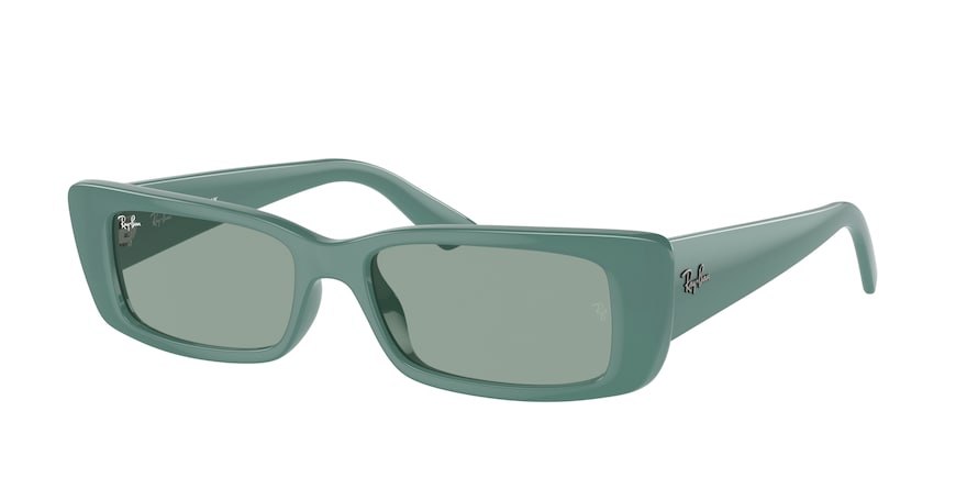 Ray-Ban RB4425 TERU 676282