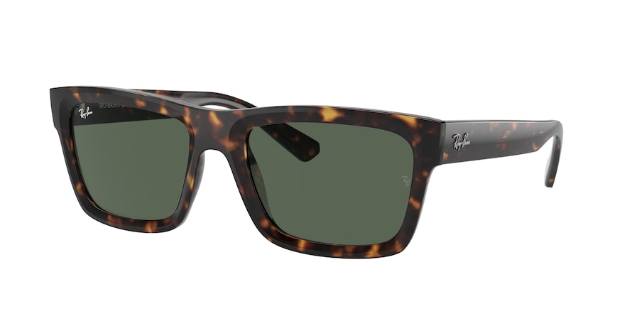 Ray-Ban RB4396 WARREN 135971