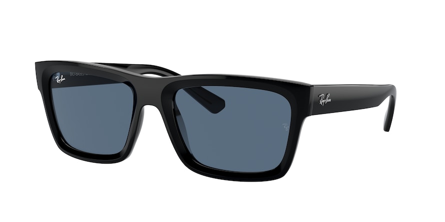 Ray-Ban RB4396 WARREN 667780