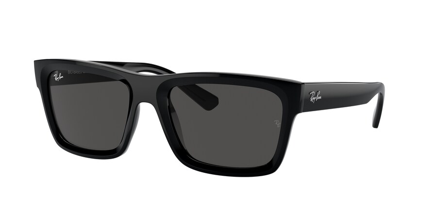 Ray-Ban RB4396 WARREN 667787