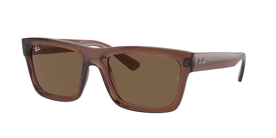 Ray-Ban RB4396 WARREN 667873