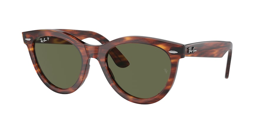 Ray-Ban RB2241 WAYFARER WAY 954/58