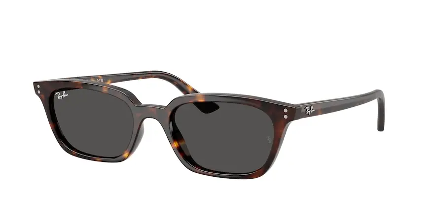Ray-Ban RB4456 ZAYA 135987
