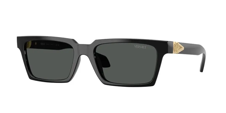 Versace VE4490U  GB1/87