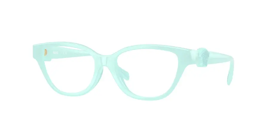 Versace VK3011U  5528