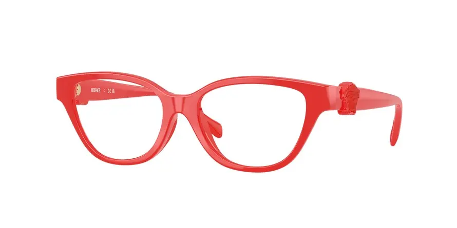 Versace VK3011U  5529