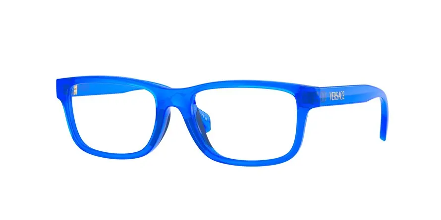Versace VK3013U  5536